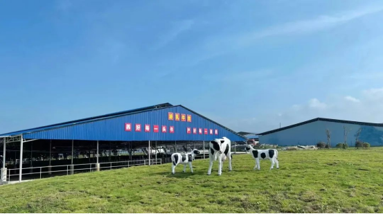 奶源建設再提速！田東縣皇氏奶業(yè)示范區(qū)正式投產！